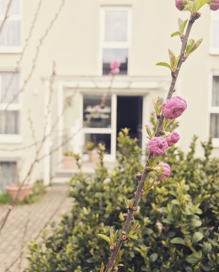 Hotel Gramlich Heddesheim Luaran gambar